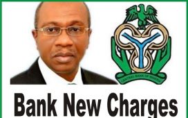 Approved Bank Charges in Nigeria By CBN
