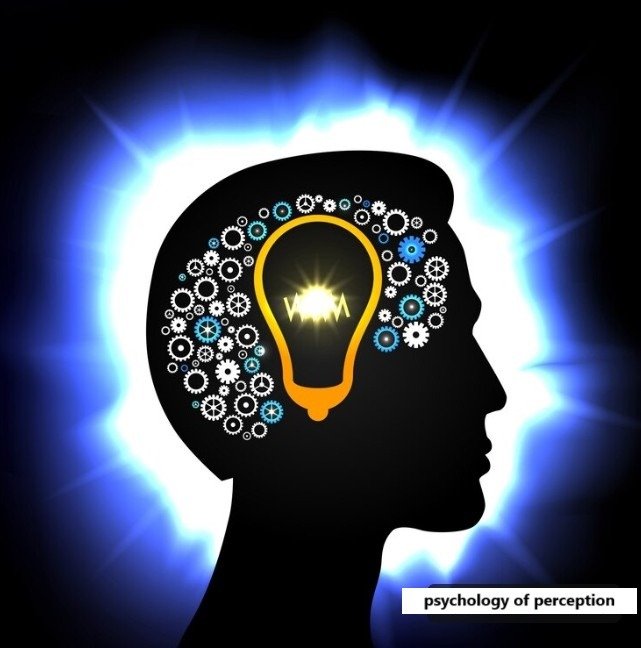 psychology of perception